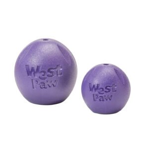 Rando Dog Toy - Purple-Small