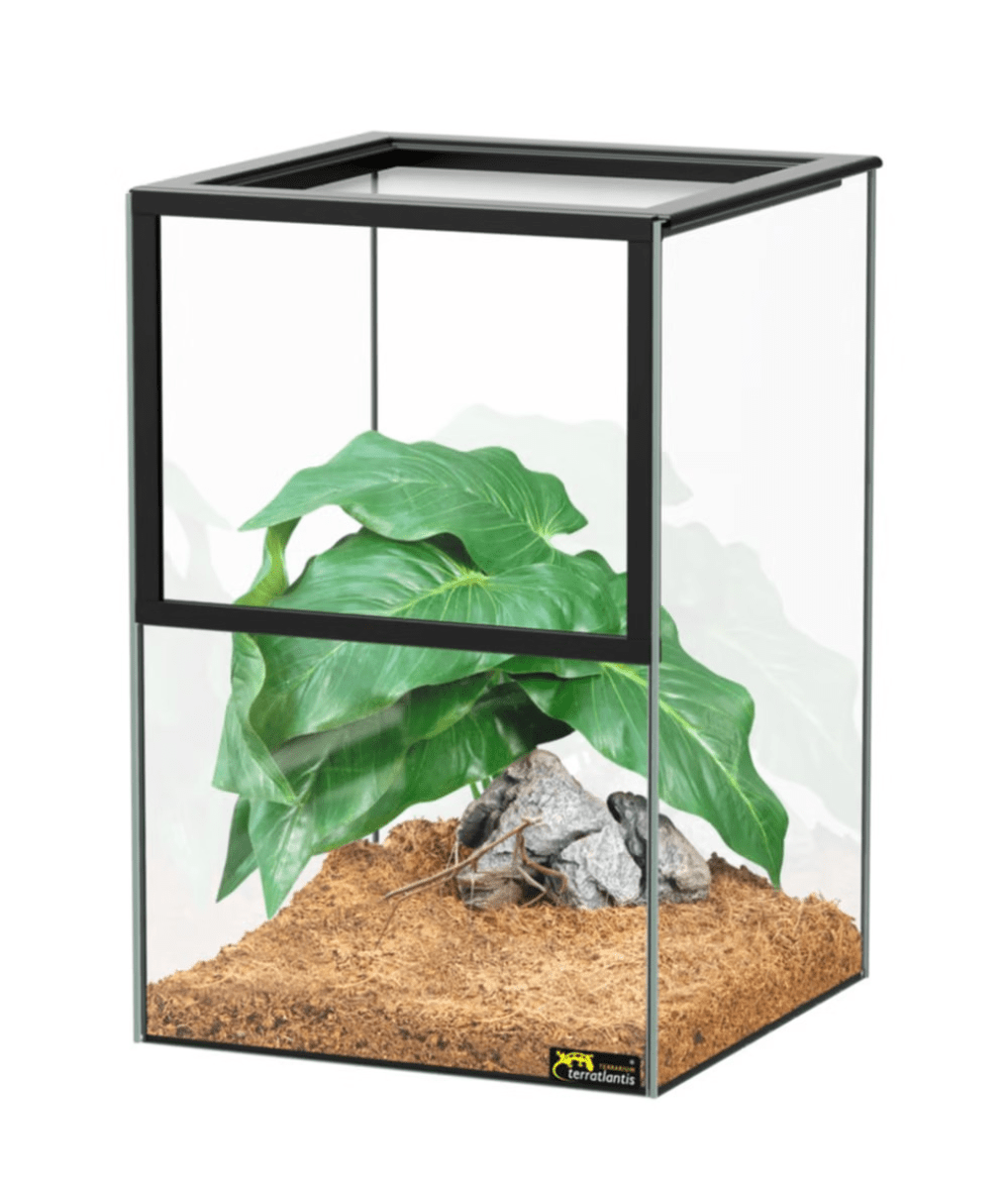 TR17616 Kit Insect Black, 20X20X30 Cm - Image 1