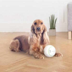 Foodie Orb  Automatic Rolling Treat Ball