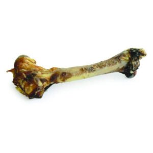 Zeal Whole Venison Shanks 700Gms (1Pcs) Full Bone