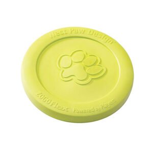 Zisc Flying Disc - Granny Smith- Large