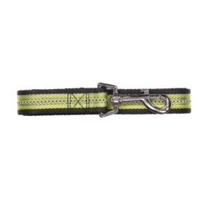 Pawise Reflective Dog Leash - Green - Medium