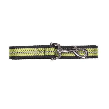 pawisereflectivedogleash_2.png Pawise Reflective Dog - Leash - Green - Large - Image 1