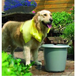 Pawise Towel For Dog