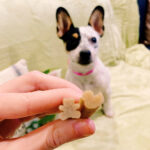 Whimzees Puppy Stix - Image 3