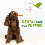Whimzees Puppy Stix - Image 5