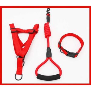 PETBROO HARNESS WITH LEADS