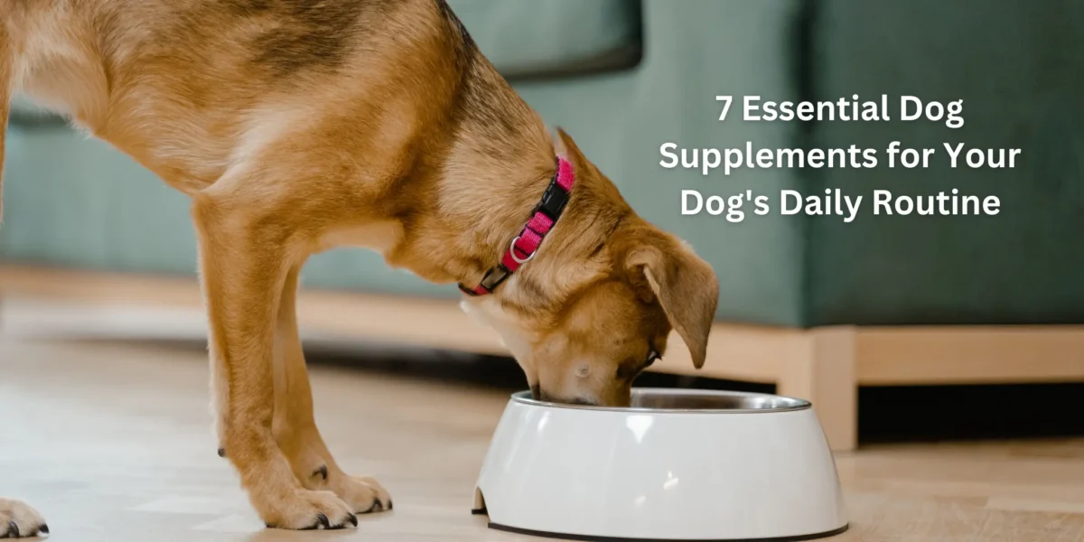 Dog Supplements