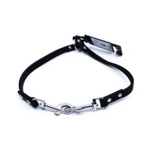 Beeztees Coupling For 2 Dogs - Black