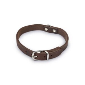 Beeztees Leather Collar for Dog - Black -