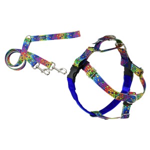 FREEDOM NO PULL HARNESS AND LEASH -RAINBOW - Large
