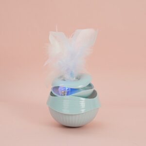 Petbroo PouncePal Interactive Toy