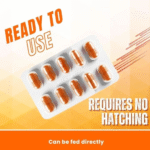 Horizone Peqon Decap Artemia Cyst – Ready-to-Feed Decapsulated Brine Shrimp Eggs (80 Capsules) – No Hatching Needed - Image 3