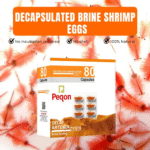 Horizone Peqon Decap Artemia Cyst – Ready-to-Feed Decapsulated Brine Shrimp Eggs (80 Capsules) – No Hatching Needed - Image 4