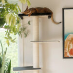 Noba Origin Mural Complete Kit - Image 3