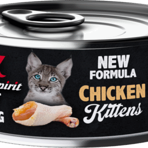 Wet Food for Kittens