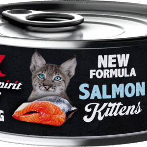 Wet Food for Kittens - Salmon