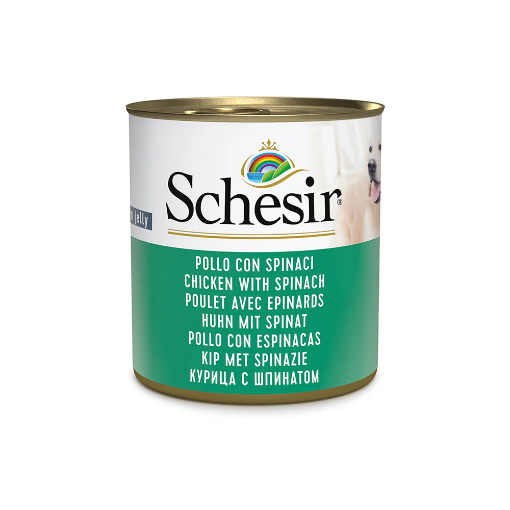 C01064728 Schesir Dog Wet Food in Jelly Can - Image 1