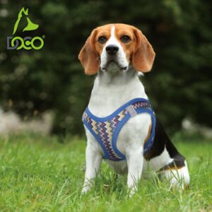 DOCO? Pattern Print Harness With 3D Foam