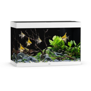 Rio 290 LED - White