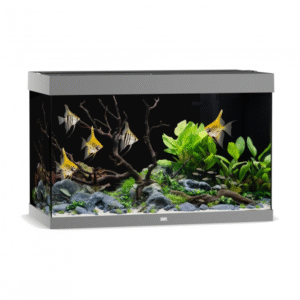 Rio 290 LED - Grey