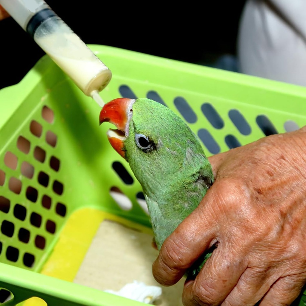 LR759 Duvo+ Spray For Manual Feeding 10Ml - Image 1