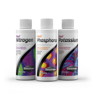 Reef Pack 3 X 100 Ml