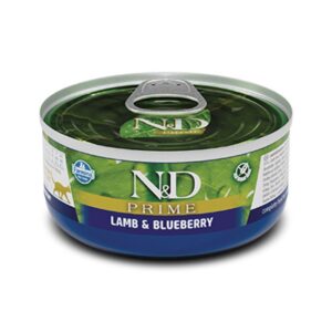 Higgins Vita Seed Conure & Lovebird Food - 2.5 Lbs