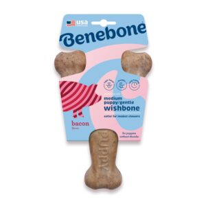 Benebone Puppy Wishbone Dog Chew Toy Bacon - Medium