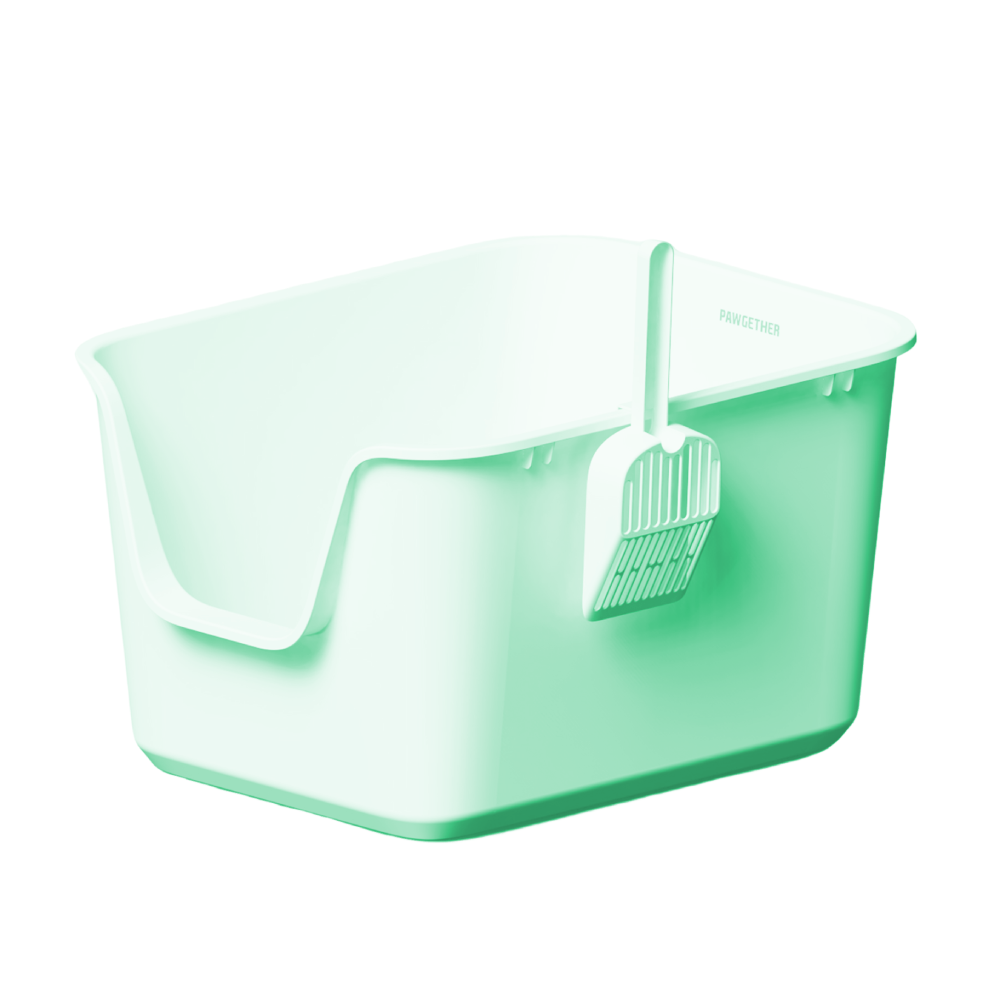 0 Pawgether Open Cat Litter Box With Scoop-CF2-57x44x32.5cm-Green - Image 1
