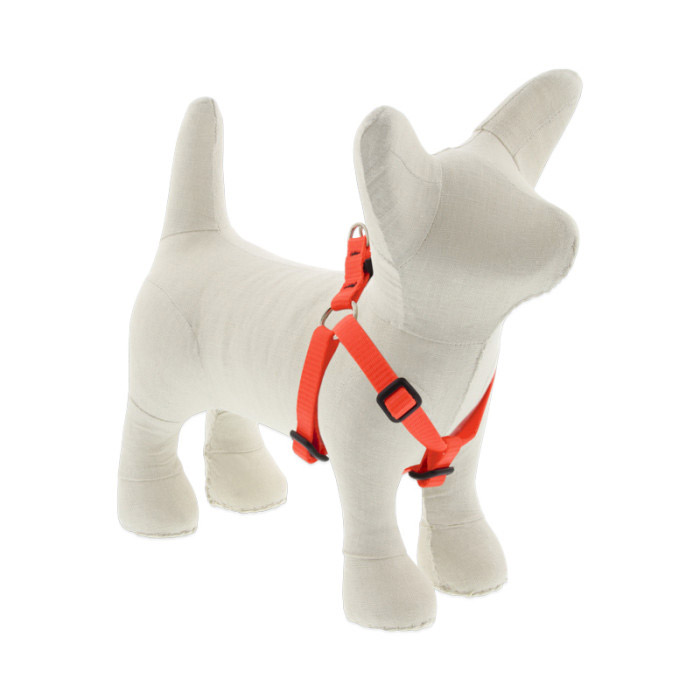 0 Small Dog Basics Step In Harness 1/2 - 12" -18", Orange - Image 1