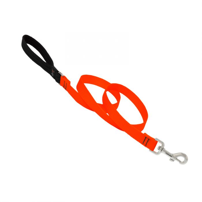 0 Basic Solids Padded Handle Dog Leash 4ft - 1" wide, Orange - Image 1
