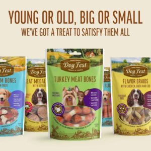 Dog Fest Meaty Coins