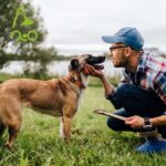 DOCO Signature Nylon Collar