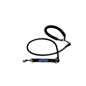 Ez Step Stretch Leash