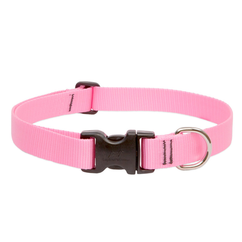 1 Basics Adjustable Collar 3/4 FOR MEDIUM DOGS - 9-14 - M, PINK 3/4 - Image 1