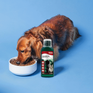 Bioline Norwegian Salmon Oil 250ml