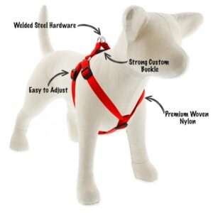 Medium Dog Basics Step In Harness 3/4