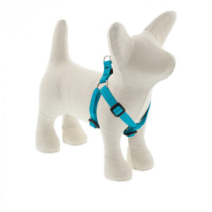 Small Dog Basics Step In Harness 1/2