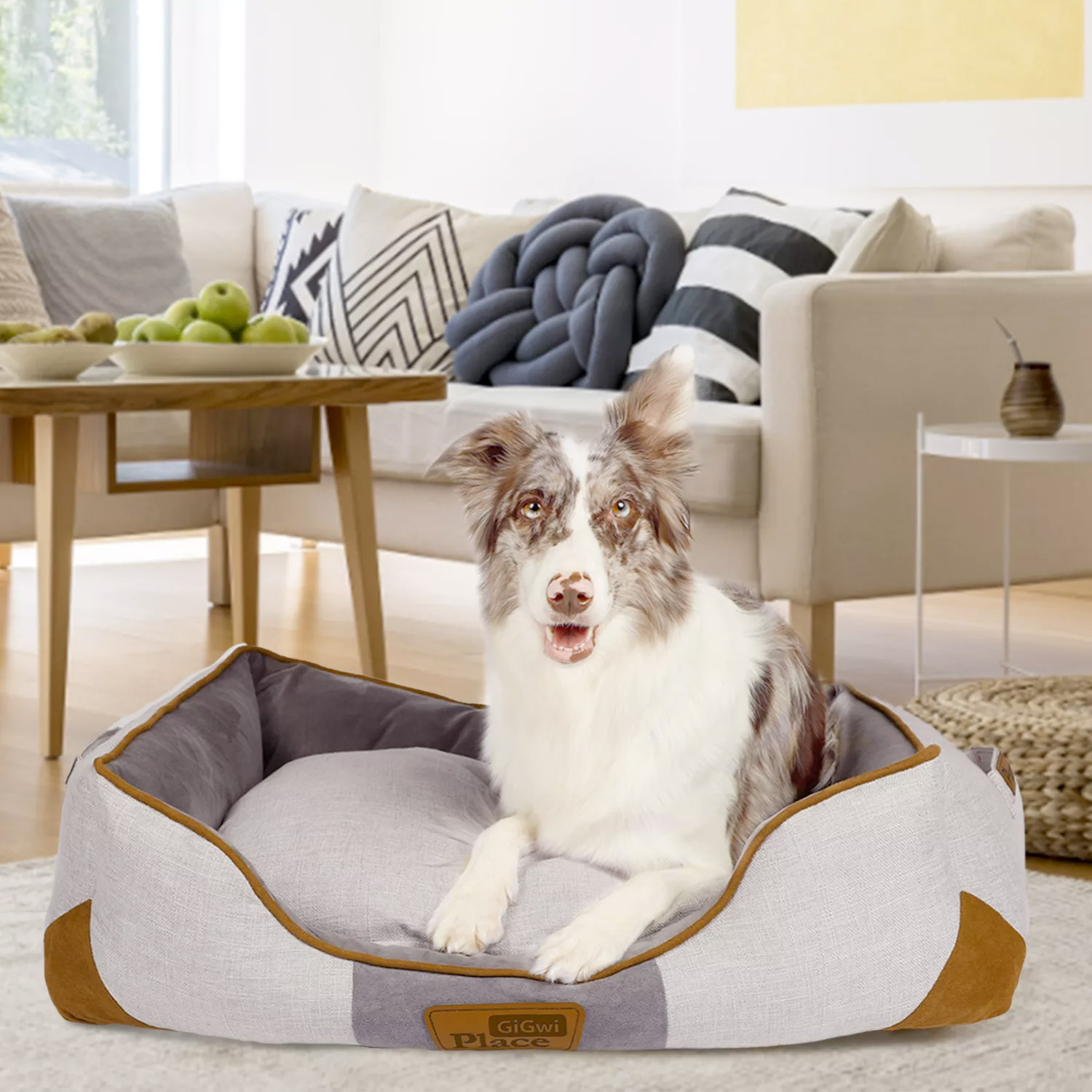 1 GiGwi Place Removable Cushion Luxury Dog Bed - Image 1
