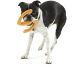 Westpaw Design Būmi Tug Toy
