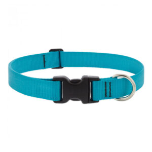 BASICS Adjustable Collar 1 FOR LARGE DOGS - 16"-28", AQUA
