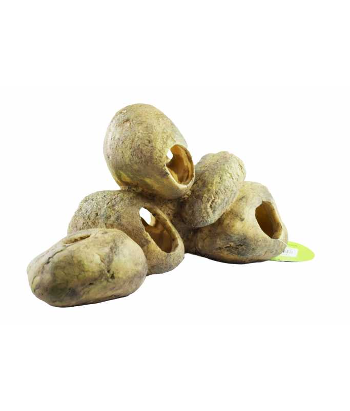 1 Yusee Aquarium Decoration - Image 1