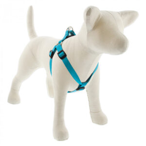 Medium Dog Basics Step In Harness 3/4 - 20" -30", Aqua