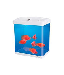 11 BOYU AQUARIUM 44X32.5X50.80CM - Image 1