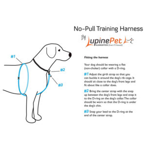 Dog Basic Solids No Pull Harness