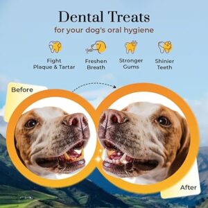 Dogsee Large Bars: Long-Lasting Dental Chews