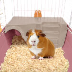 IMAC Ronny 60- 2nd Life - Cage for small pets - Image 3