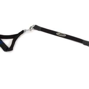 Ez Step Stretch Leash Large - Large / Black