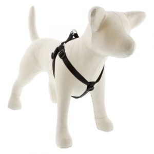 Medium Dog Basics Step In Harness 3/4 - 20" -30", Black